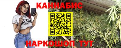 прущие крисы Будённовск