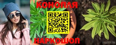 прущие крисы Будённовск
