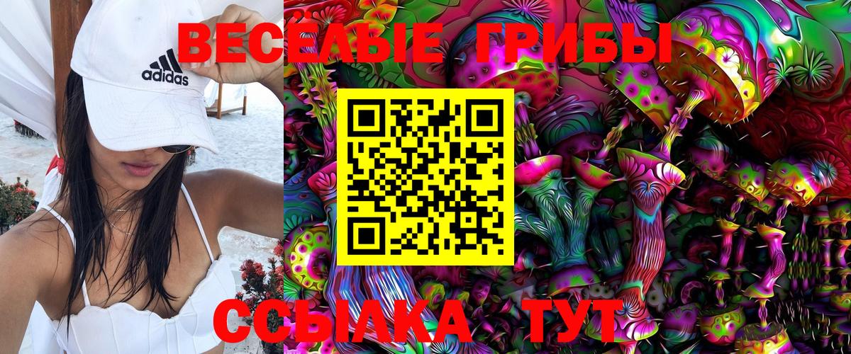 Псилоцибиновые грибы Cubensis  Вход с VPN  Ревда 