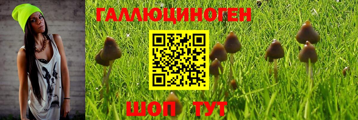 Псилоцибиновые грибы ЛСД Ревда